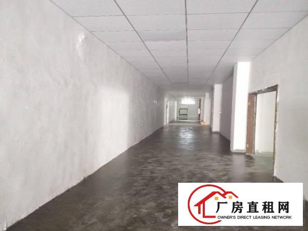  沙头新出独门独院厂房分租