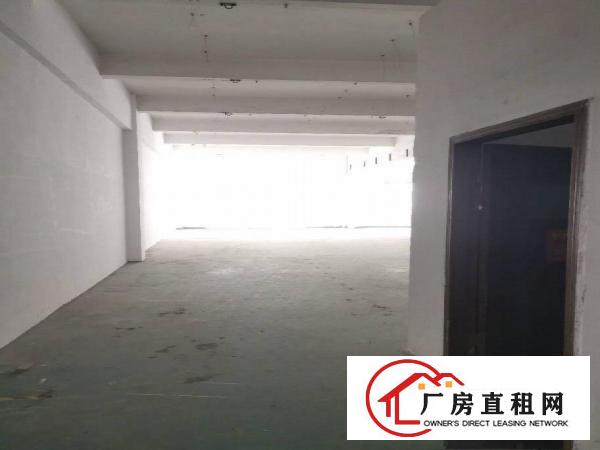  沙头新出独门独院厂房分租
