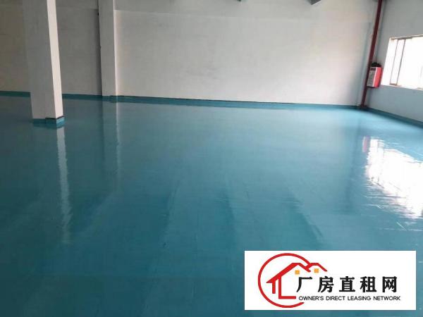  沙头新出独门独院厂房分租