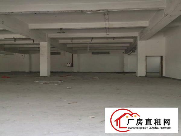  沙头新出独门独院厂房分租