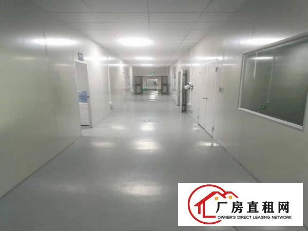  长安乌沙新出楼上无尘车间3150平方，拎包生产适合口罩电子
