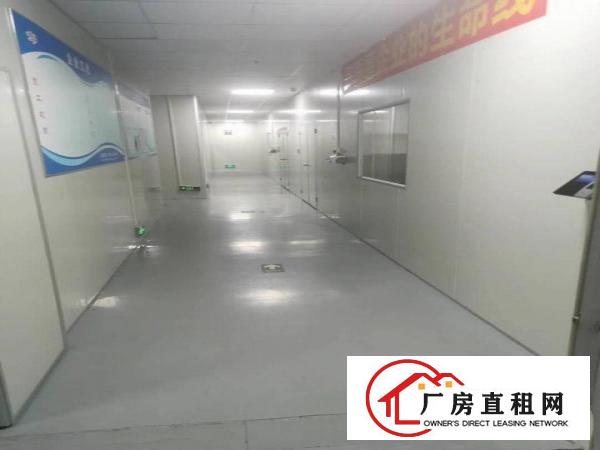  长安乌沙新出楼上无尘车间3150平方，拎包生产适合口罩电子