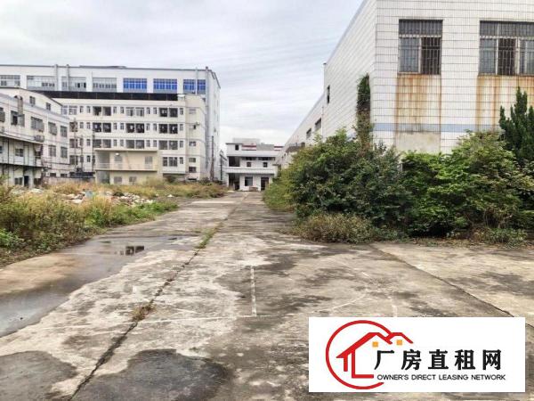  长安挨着虎门单一层独院2300平，原房东，空地大