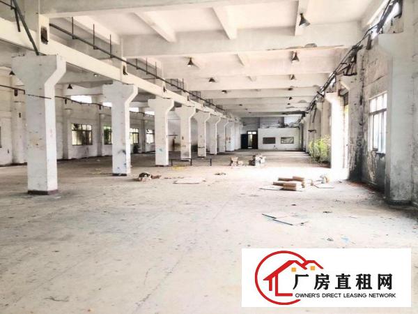  长安挨着虎门单一层独院2300平，原房东，空地大