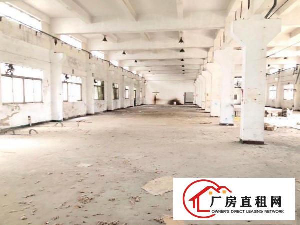  长安挨着虎门单一层独院2300平，原房东，空地大