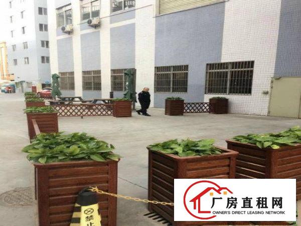  厂房招租4楼带货梯水电齐全2700平米招租