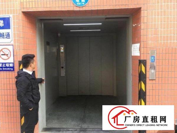  厂房招租4楼带货梯水电齐全2700平米招租