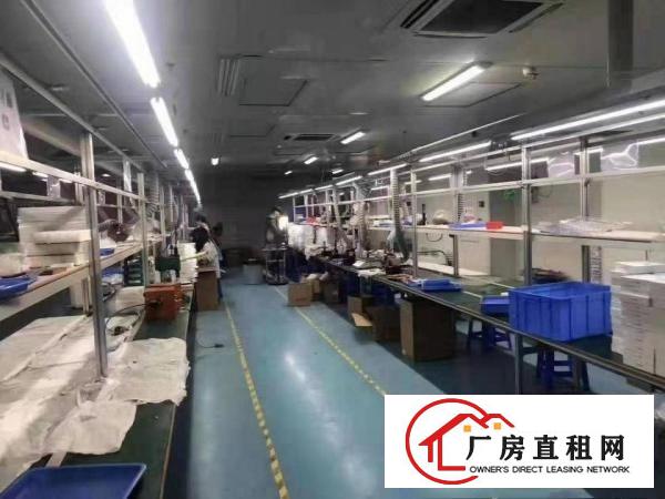  长安厦岗沿江高速附近豪华装修厂房楼上1200平方搬机即可生产