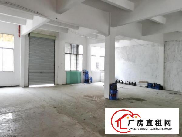  沙头1楼850平，玻璃办公室，25元平方