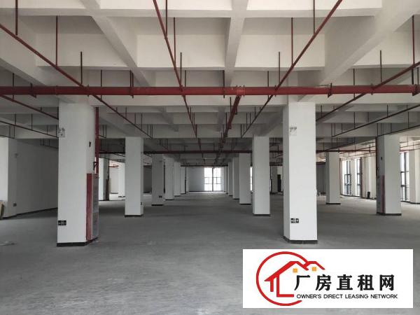  长安镇高薪技术产业园，联手中科院下属企业，助力企业成长