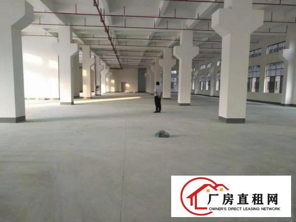 长安乌沙沙头原房东独院10000平厂房出租可做口罩