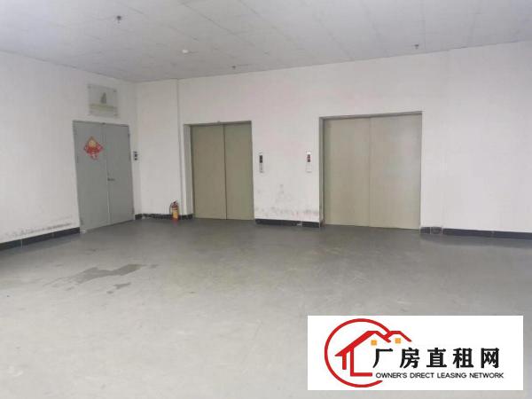  长安乌沙沙头原房东独院10000平厂房出租可做口罩