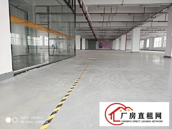  长安乌沙沙头原房东独院10000平厂房出租可做口罩