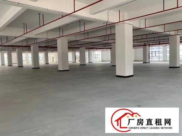  长安乌沙沙头原房东独院10000平厂房出租可做口罩