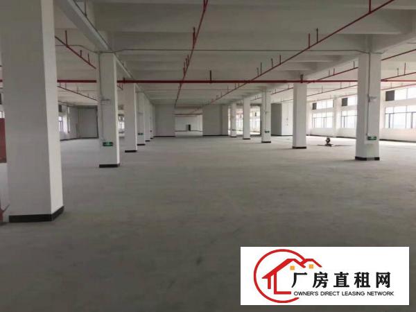  长安乌沙沙头原房东独院10000平厂房出租可做口罩