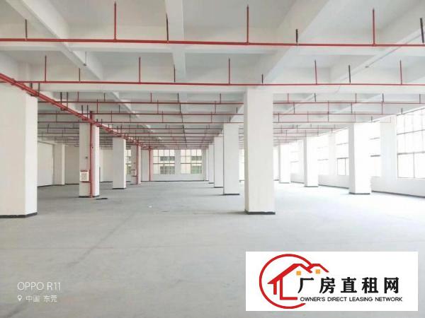  长安乌沙沙头原房东独院10000平厂房出租可做口罩