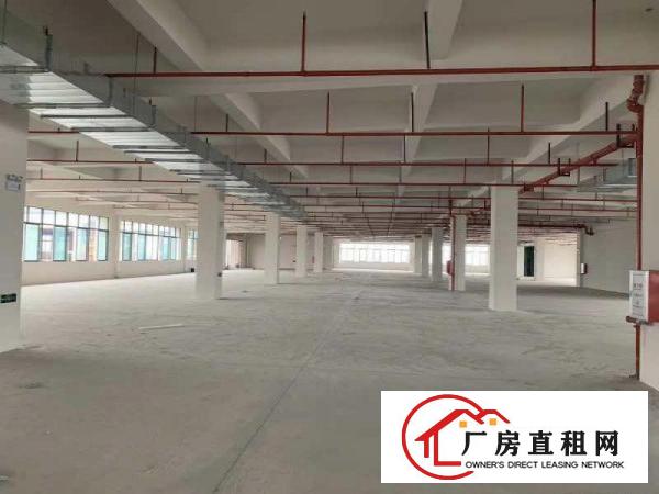  长安镇原房东厂房招租，独院厂房出租