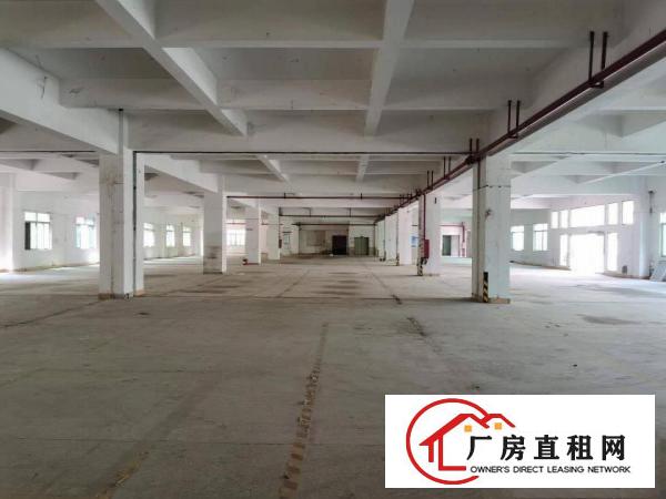  长安镇原房东厂房招租，独院厂房出租