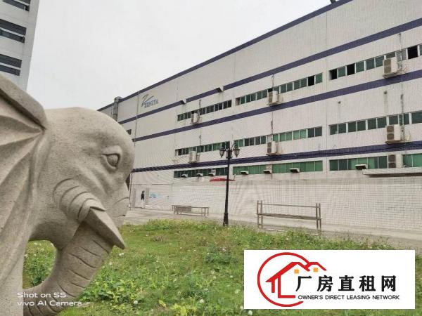  长安上沙新出8万平方带红本厂房，合同年限长，靠近沿江高速