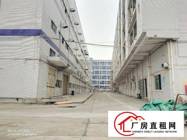  长安上沙新出8万平方带红本厂房，合同年限长，靠近沿江高速