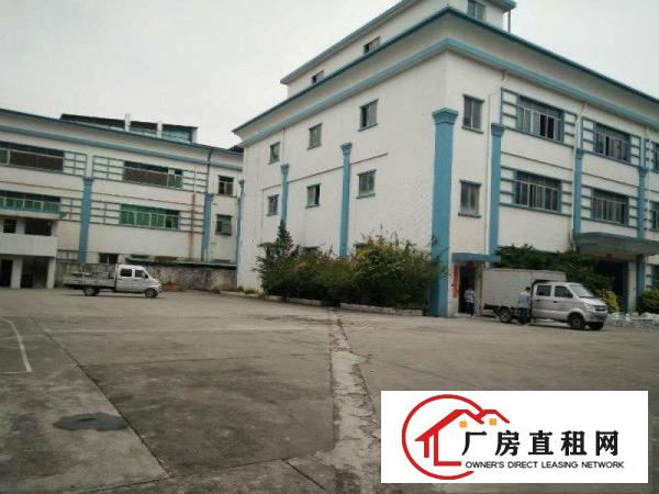 带前台装修，长安沙头空出楼上800平方豪华装修厂房出租