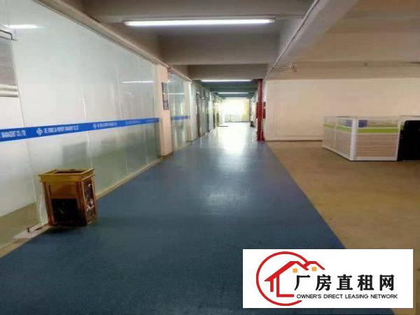  带前台装修，长安沙头空出楼上800平方豪华装修厂房出租