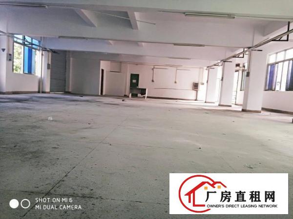  长安乌沙小面积厂房出租300平起租五金口罩仓库
