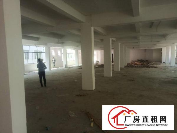  长安镇沙头原房东小独院1到2楼1800平方火爆招租，无公摊