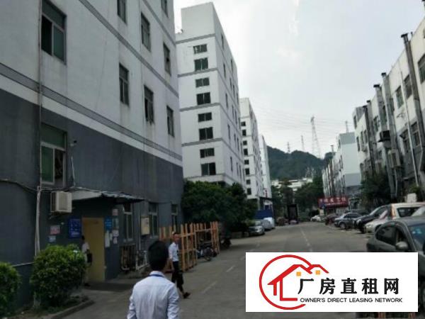  长安镇厦边出租二楼500平厂房带装修园区食宿配套齐全可分租