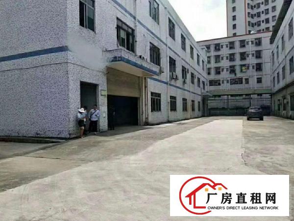  长安镇厦边出租一楼1000平带行车位有办公室精装修可分租