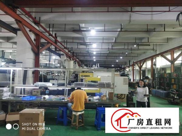  沿江高速长安厦岗原房东1500平厂房出租可分租不堵车