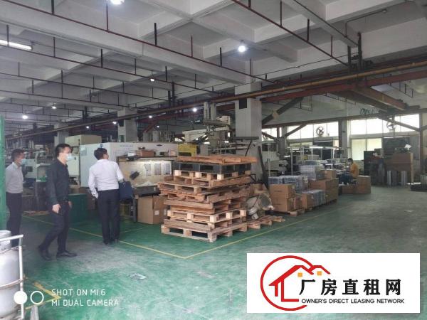  沿江高速长安厦岗原房东1500平厂房出租可分租不堵车