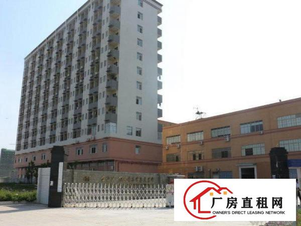  业主直租，长安沙头村建安路2800平方一楼厂房，低价出无中介