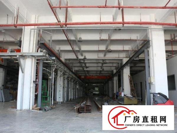  业主直租，长安沙头村建安路2800平方一楼厂房，低价出无中介