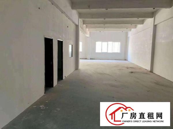  长安镇沙头繁华地段新出无尘车间10000万平，全部做好吊顶。