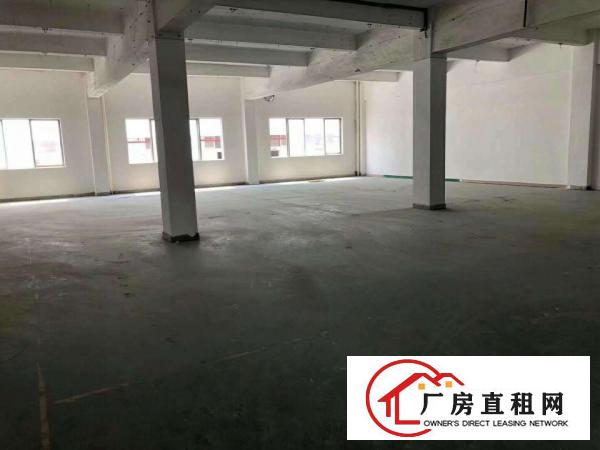  长安镇沙头繁华地段新出无尘车间10000万平，全部做好吊顶。
