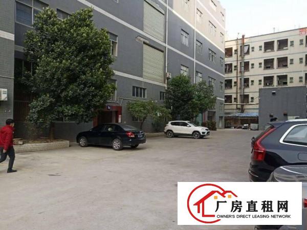  长安乌沙新空出1100平带精装修带办公室厂房出租
