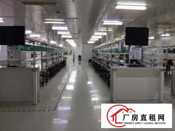  长安乌沙房东独院厂房5300平，精装修，水电齐全