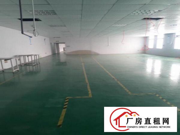  长安出租独门独院，适合五金，电子，加工，刀具。