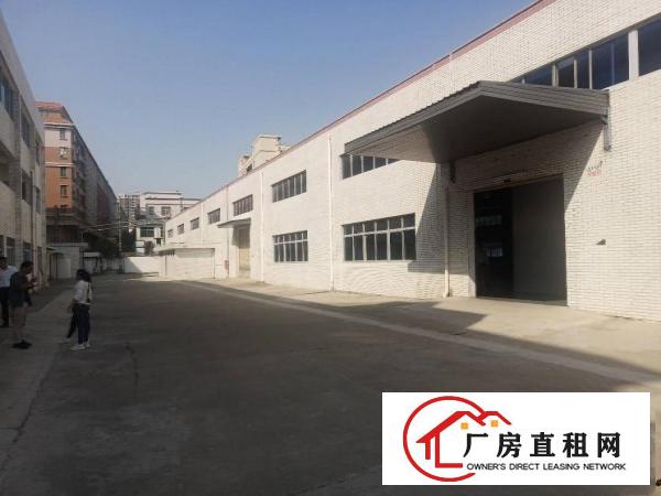  长安镇乌沙原房东独院钢构2760平方低价出租，面积无公摊
