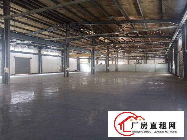  长安镇乌沙原房东独院钢构2760平方低价出租，面积无公摊
