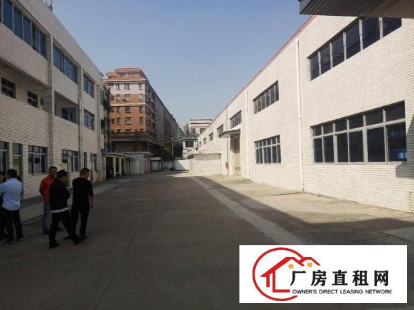  长安镇乌沙原房东独院钢构2760平方低价出租，面积无公摊