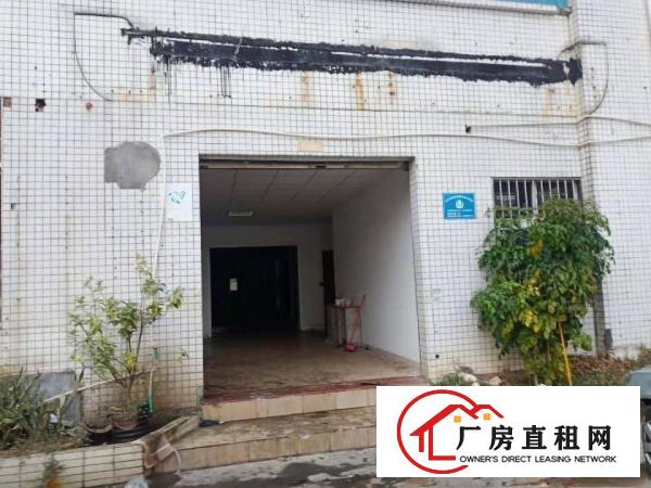  长安乌沙新出一楼厂房1200平与沙井一桥之隔