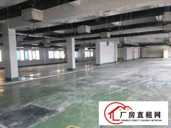  长安沙头轻轨附近厂房二楼1200平方现成装修有货梯周边好招工