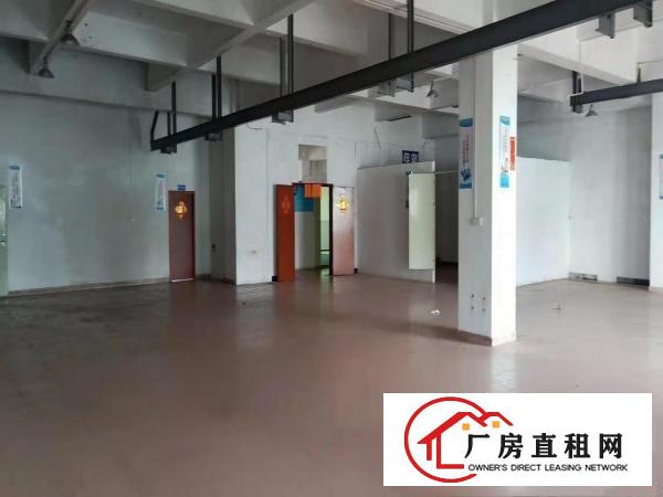  上角标准厂房出租二楼200平三楼800平带装修