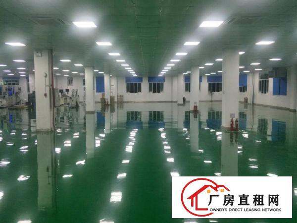  长安乌沙新出楼上3100平带洁净车办公室精装修厂房出租可分租