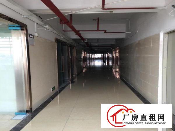  独门独院精装修厂房出租