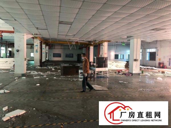  厦边空出一楼高7米厂房2000平出租