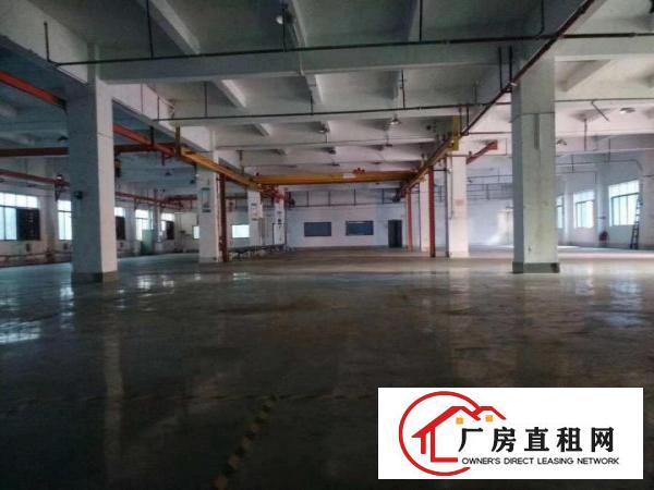  厦边空出一楼高7米厂房2000平出租