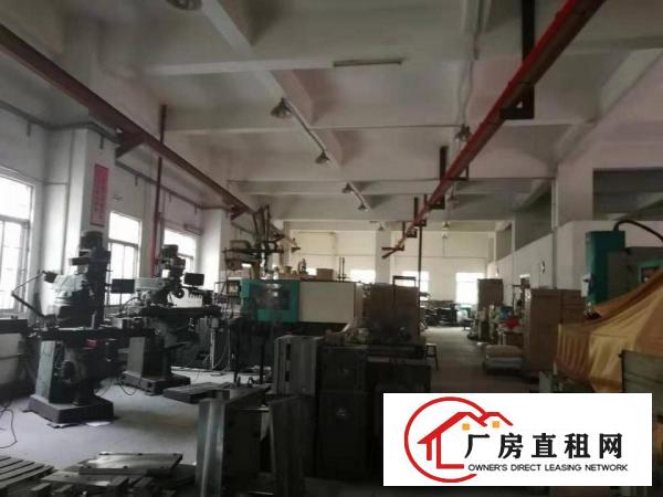  长安沙头原房东厂房一楼带现成行车950平方，有办公室精装修